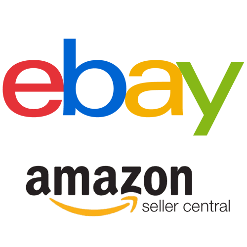 Founded 1st Business (ebay / Amazon)